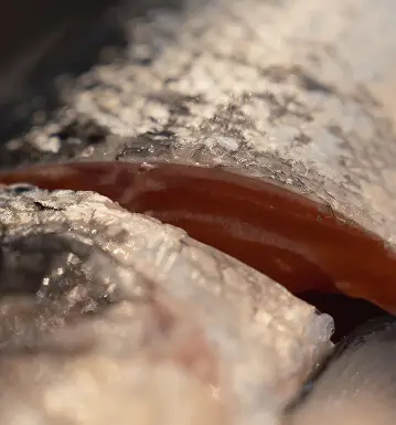 Gravlax de saumon de Cherbourg, spécialité maison du restaurant L'Ître