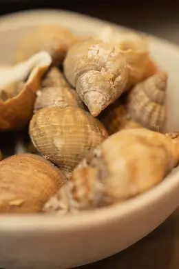 Bulots de Saint-Vaast et mayonnaise, produits locaux du restaurant L'Ître