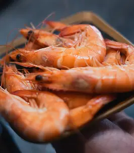 Crevettes roses et mayonnaise maison, entrée de la mer à L'Ître Saint-Vaast